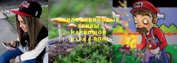 сатива Алзамай